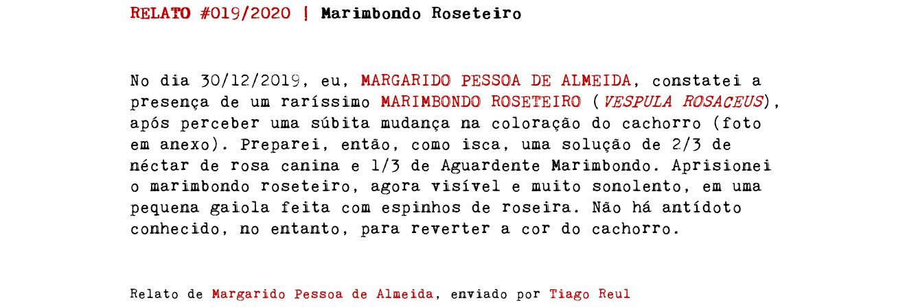 RELATO #019/2020 | Marimbondo Roseteiro No dia 30/12/2019, eu, MARGARIDO PESSOA DE ALMEIDA, constatei a presença de um raríssimo MARIMBONDO ROSETEIRO (VESPULA ROSACEUS), após perceber uma súbita mudança na coloração do cachorro (foto em anexo). Preparei, então, como isca, uma solução de 2/3 de néctar de rosa canina e 1/3 de Aguardente Marimbondo. Aprisionei o marimbondo roseteiro, agora visível e muito sonolento, em uma pequena gaiola feita com espinhos de roseira. Não há antídoto conhecido, no entanto, para reverter a cor do cachorro. Relato de Margarido Pessoa de Almeida, enviado por Tiago Reul