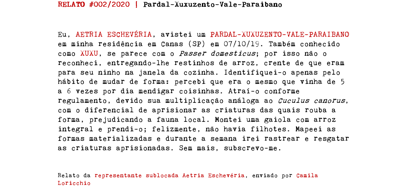 RELATO #002/2020 | Pardal-Xuxuzento-Vale-Paraibano Eu, AETRIA ESCHEVÉRIA, avistei um PARDAL-XUXUZENTO-VALE-PARAIBANO em minha residência em Canas (SP) em 07/10/19. Também conhecido como XUXU, se parece com o Passer domesticus; por isso não o reconheci, entregando-lhe restinhos de arroz, crente de que eram para seu ninho na janela da cozinha. Identifiquei-o apenas pelo hábito de mudar de forma: percebi que era o mesmo que vinha de 5 a 6 vezes por dia mendigar coisinhas. Atraí-o conforme regulamento, devido sua multiplicação análoga ao Cuculus canorus, com o diferencial de aprisionar as criaturas das quais rouba a forma, prejudicando a fauna local. Montei uma gaiola com arroz integral e prendi-o; felizmente, não havia filhotes. Mapeei as formas materializadas e durante a semana irei rastrear e resgatar as criaturas aprisionadas. Sem mais, subscrevo-me. Relato da representante sublocada Aetria Eschevéria, enviado por Camila Loricchio