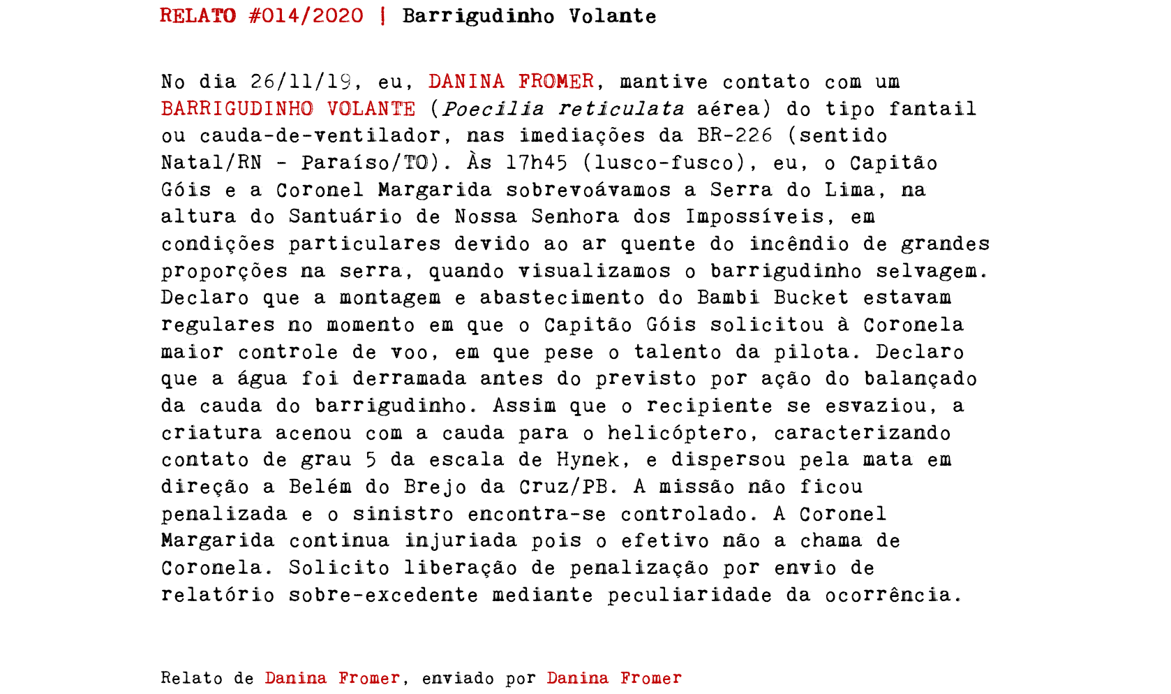 RELATO #014/2020 | Barrigudinho Volante No dia 26/11/19, eu, DANINA FROMER, mantive contato com um BARRIGUDINHO VOLANTE (Poecilia reticulata aérea) do tipo fantail ou cauda-de-ventilador, nas imediações da BR-226 (sentido Natal/RN - Paraíso/TO). Às 17h45 (lusco-fusco), eu, o Capitão Góis e a Coronel Margarida sobrevoávamos a Serra do Lima, na altura do Santuário de Nossa Senhora dos Impossíveis, em condições particulares devido ao ar quente do incêndio de grandes proporções na serra, quando visualizamos o barrigudinho selvagem. Declaro que a montagem e abastecimento do Bambi Bucket estavam regulares no momento em que o Capitão Góis solicitou à Coronela maior controle de voo, em que pese o talento da pilota. Declaro que a água foi derramada antes do previsto por ação do balançado da cauda do barrigudinho. Assim que o recipiente se esvaziou, a criatura acenou com a cauda para o helicóptero, caracterizando contato de grau 5 da escala de Hynek, e dispersou pela mata em direção a Belém do Brejo da Cruz/PB. A missão não ficou penalizada e o sinistro encontra-se controlado. A Coronel Margarida continua injuriada pois o efetivo não a chama de Coronela. Solicito liberação de penalização por envio de relatório sobre-excedente mediante peculiaridade da ocorrência. Relato de Danina Fromer, enviado por Danina Fromer