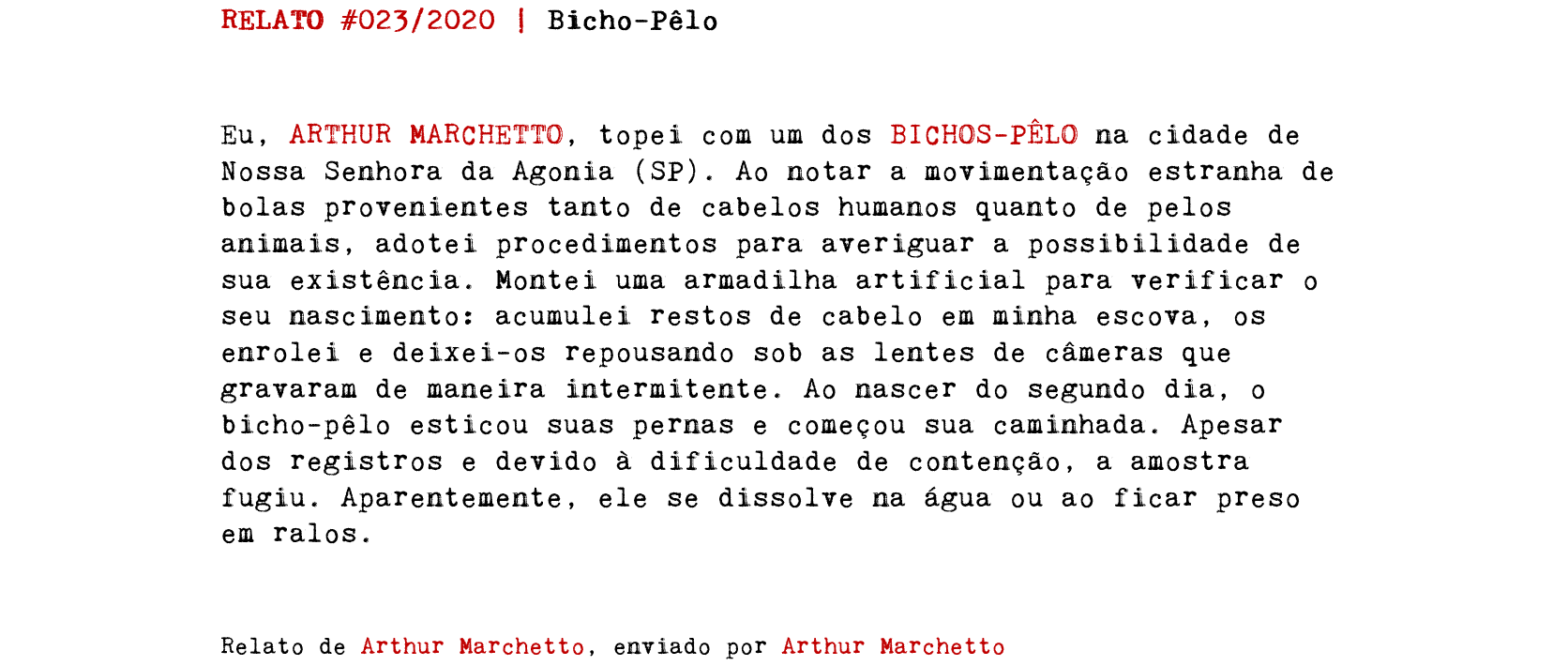 RELATO #023/2020 | Bicho-Pêlo Eu, ARTHUR MARCHETTO, topei com um dos BICHOS-PÊLO na cidade de Nossa Senhora da Agonia (SP). Ao notar a movimentação estranha de bolas provenientes tanto de cabelos humanos quanto de pelos animais, adotei procedimentos para averiguar a possibilidade de sua existência. Montei uma armadilha artificial para verificar o seu nascimento: acumulei restos de cabelo em minha escova, os enrolei e deixei-os repousando sob as lentes de câmeras que gravaram de maneira intermitente. Ao nascer do segundo dia, o bicho-pêlo esticou suas pernas e começou sua caminhada. Apesar dos registros e devido à dificuldade de contenção, a amostra fugiu. Aparentemente, ele se dissolve na água ou ao ficar preso em ralos. Relato de Arthur Marchetto, enviado por Arthur Marchetto