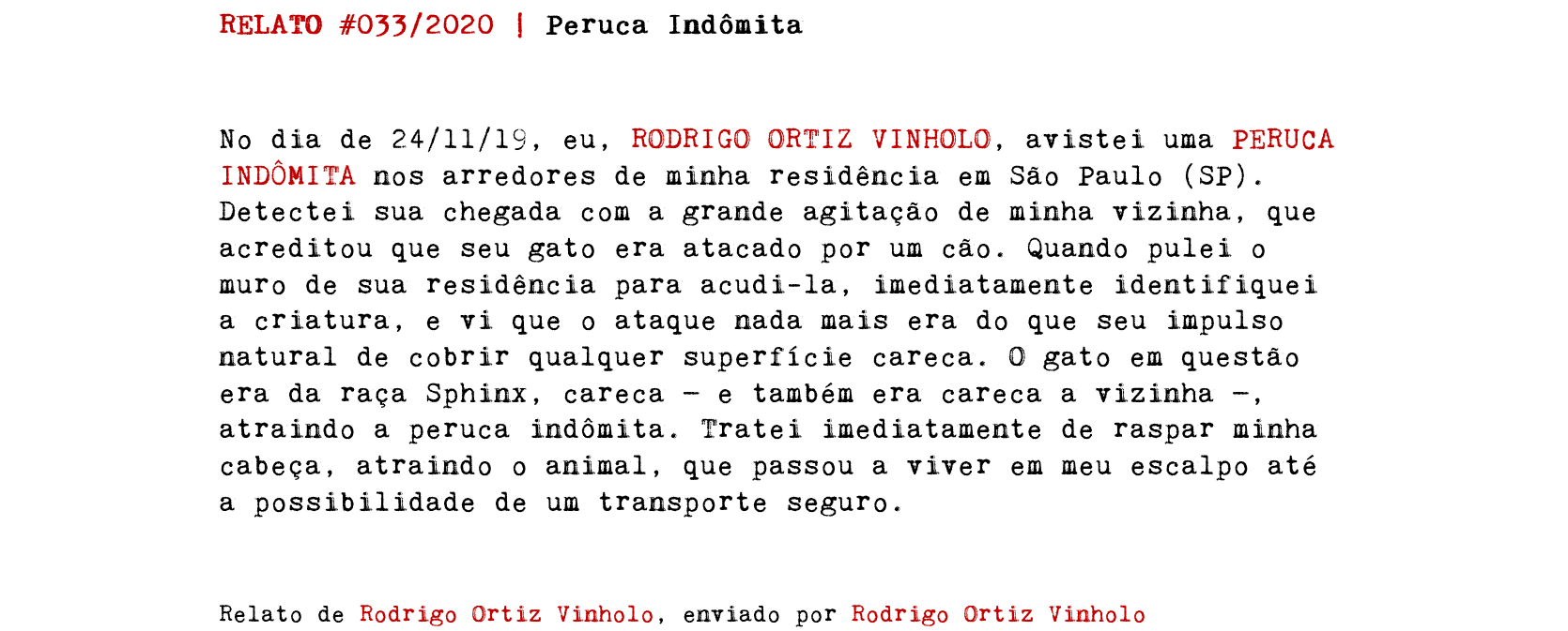 RELATO #033/2020 | Peruca Indômita No dia de 24/11/19, eu, RODRIGO ORTIZ VINHOLO, avistei uma PERUCA INDÔMITA nos arredores de minha residência em São Paulo (SP). Detectei sua chegada com a grande agitação de minha vizinha, que acreditou que seu gato era atacado por um cão. Quando pulei o muro de sua residência para acudi-la, imediatamente identifiquei a criatura, e vi que o ataque nada mais era do que seu impulso natural de cobrir qualquer superfície careca. O gato em questão era da raça Sphinx, careca — e também era careca a vizinha —, atraindo a peruca indômita. Tratei imediatamente de raspar minha cabeça, atraindo o animal, que passou a viver em meu escalpo até a possibilidade de um transporte seguro. Relato de Rodrigo Ortiz Vinholo, enviado por Rodrigo Ortiz Vinholo