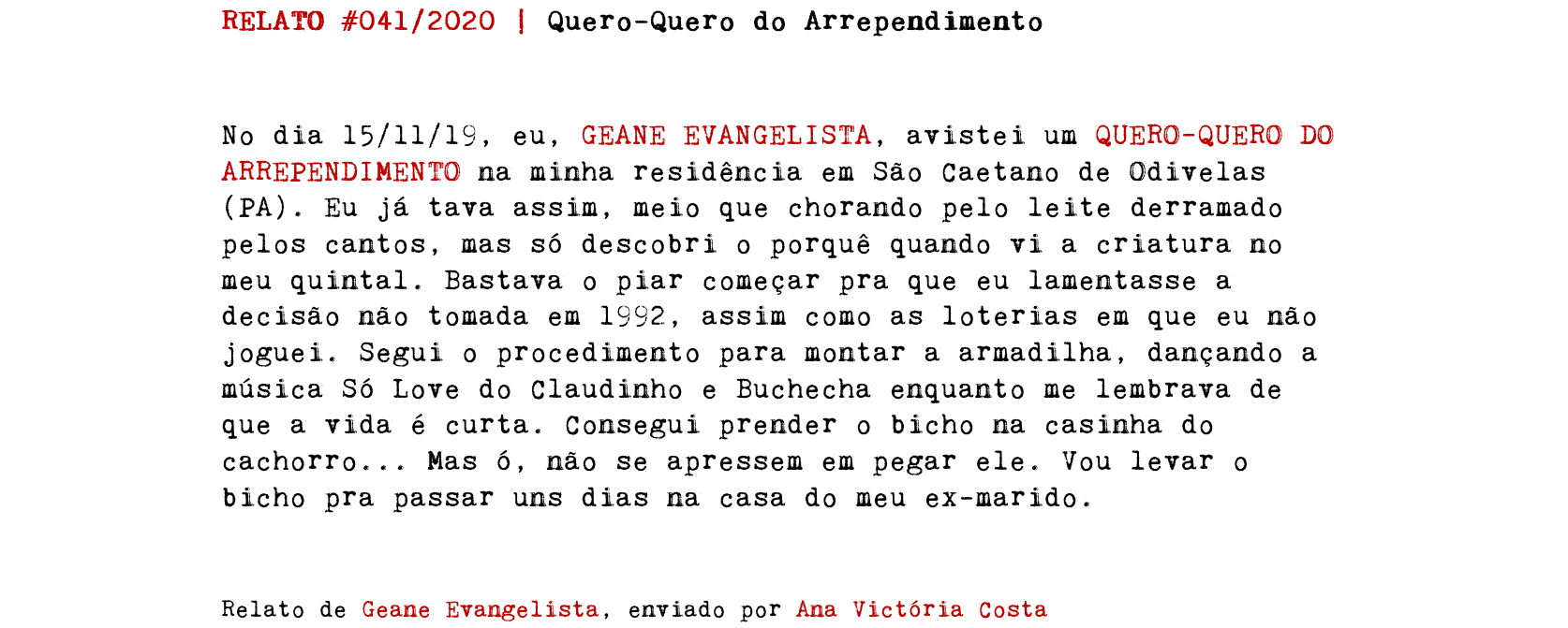 RELATO #041/2020 | Quero-Quero do Arrependimento No dia 15/11/19, eu, GEANE EVANGELISTA, avistei um QUERO–QUERO DO ARREPENDIMENTO na minha residência em São Caetano de Odivelas (PA). Eu já tava assim, meio que chorando pelo leite derramado pelos cantos, mas só descobri o porquê quando vi a criatura no meu quintal. Bastava o piar começar pra que eu lamentasse a decisão não tomada em 1992, assim como as loterias em que eu não joguei. Segui o procedimento para montar a armadilha, dançando a música Só Love do Claudinho e Buchecha enquanto me lembrava de que a vida é curta. Consegui prender o bicho na casinha do cachorro... Mas ó, não se apressem em pegar ele. Vou levar o bicho pra passar uns dias na casa do meu ex-marido. Relato de Geane Evangelista, enviado por Ana Victória Costa